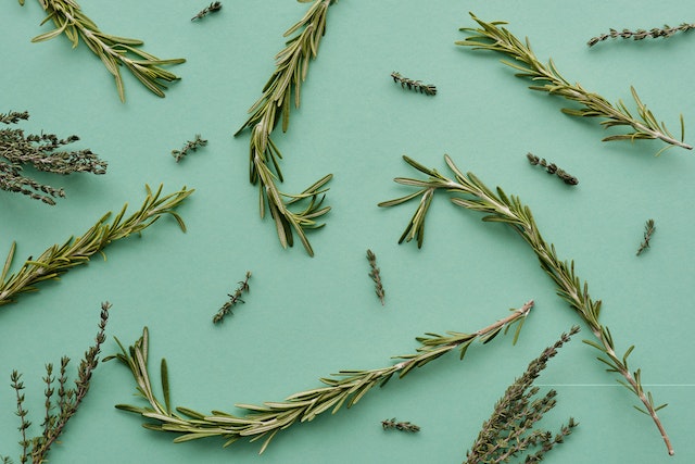 Rosemary leaves on table