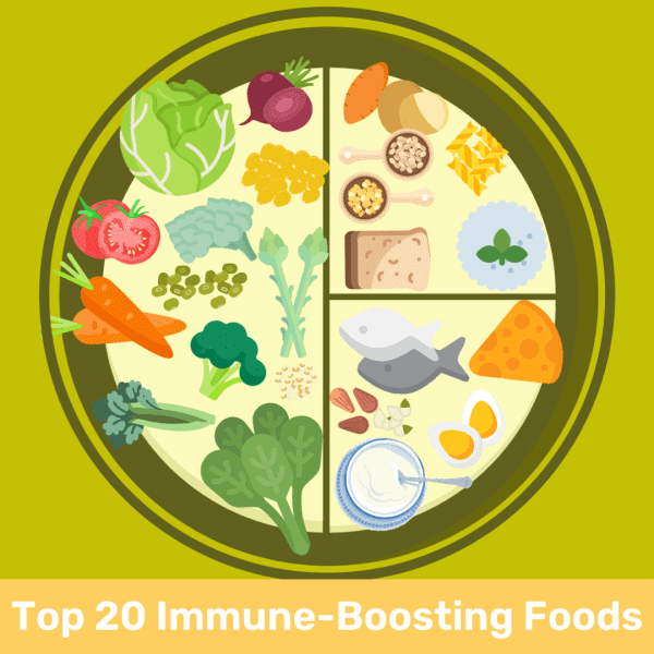 Top 20 Immune-Boosting Foods illustration