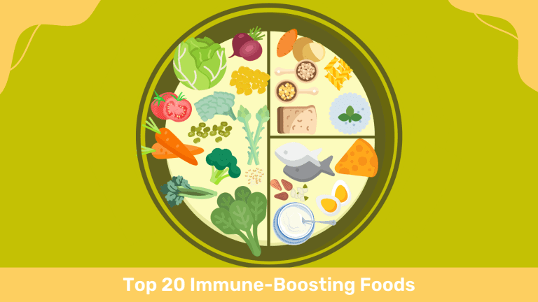 Top 20 Immune-Boosting Foods illustration