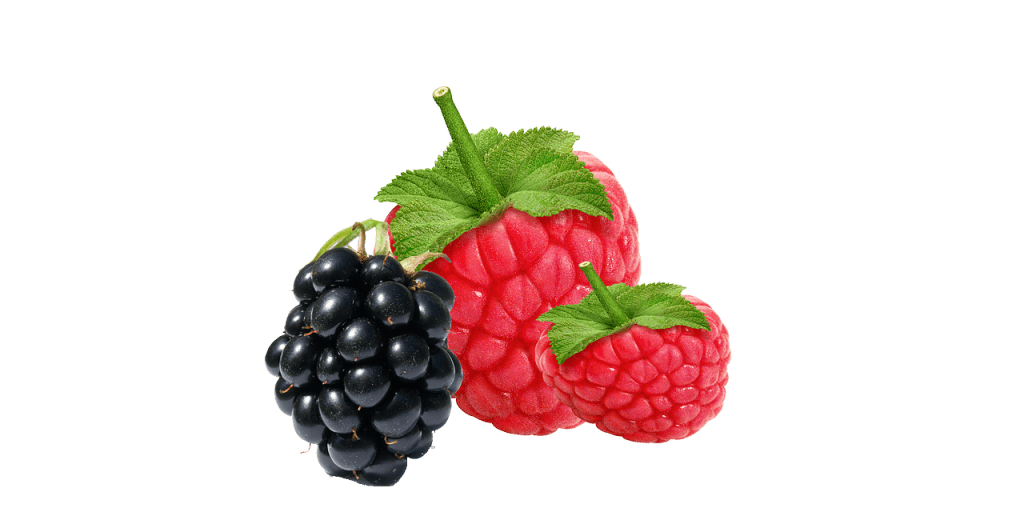 berries for immune boosting