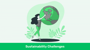 10 Simple Sustainability Challenges to Transform Your Lifestyle