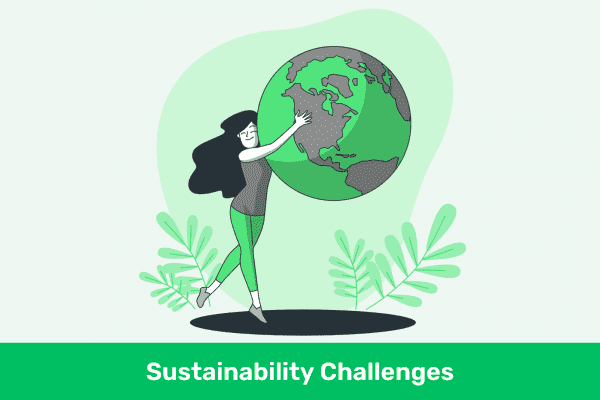 10 Simple Sustainability Challenges to Transform Your Lifestyle