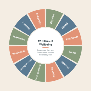 Wheel showing 12 pillars of wellbeing including physical, mental, financial, social, and nutritional