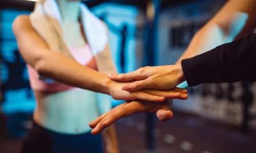 The Synergistic Impact of Combining Recognition and Wellness